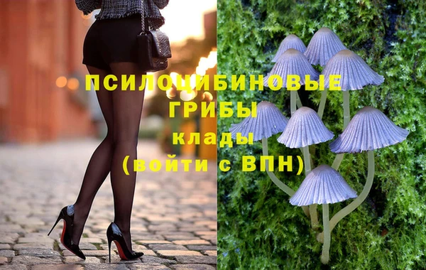 ПСИЛОЦИБИНОВЫЕ ГРИБЫ Алзамай