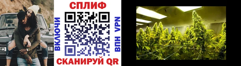 Конопля Amnesia  OMG ТОР  Ак-Довурак  магазин продажи наркотиков 